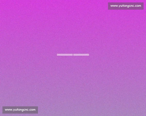 尼克斯对决快船双方全力争胜 球迷期待激烈对抗与精彩表现