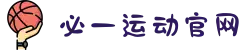 必一·运动(B-Sports)官方网站